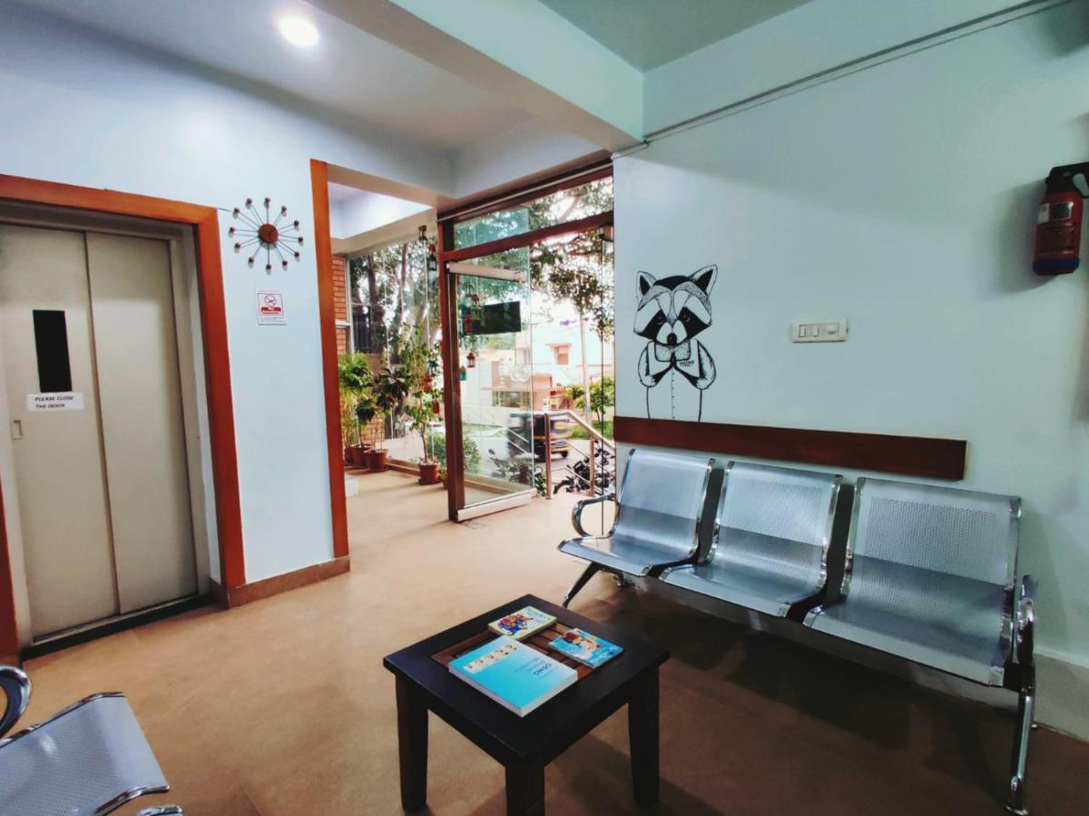 Raccoon Rooms Májszúr Kültér fotó
