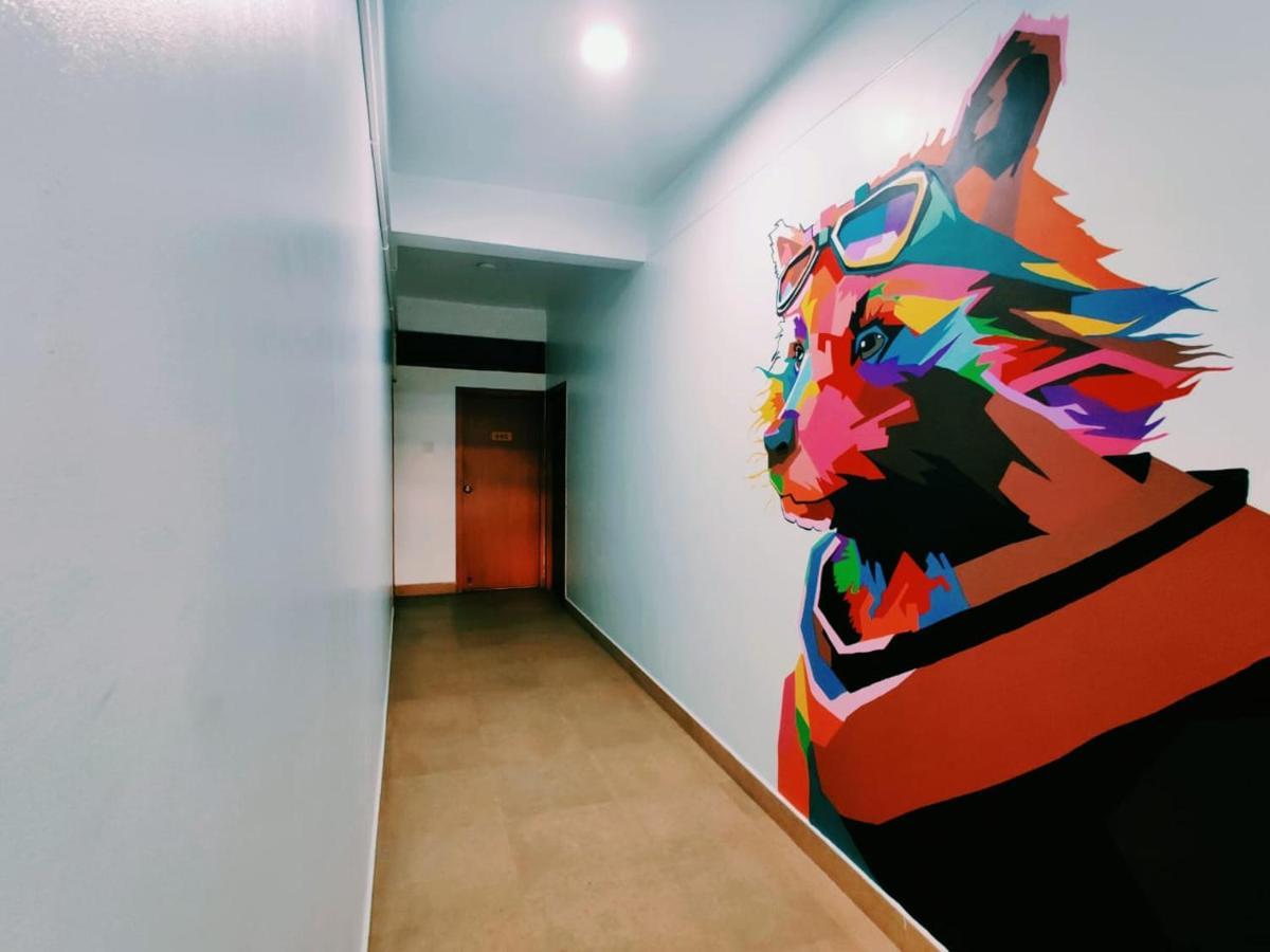 Raccoon Rooms Májszúr Kültér fotó