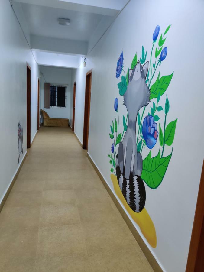 Raccoon Rooms Májszúr Kültér fotó