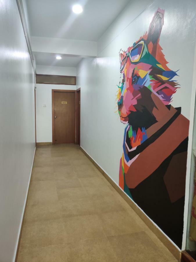 Raccoon Rooms Májszúr Kültér fotó